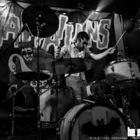 The Hawaiians (Foto: Thea Drexhage bs! 2019)