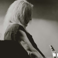 ASP (Foto: Torsten Volkmer bs! 2020)