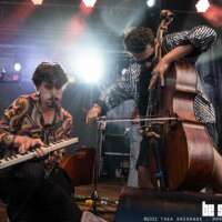 Buntspecht (Foto: Thea Drexhage bs! 2022)