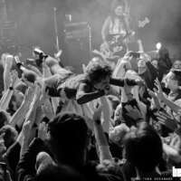 The Baboon Show (Foto: Thea Drexhage bs! 2024)