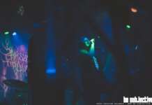 Review: Laut rieselt der Kalk – Samsas Traum (03.05.2024, Hannover)