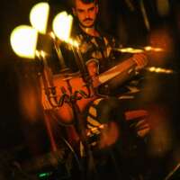 Ellereve (Foto: Kristin Hofmann bs! 2024)