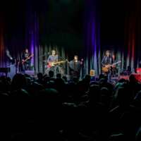 Blues Rock Nacht (Foto: Yonatan Pandelaki, Pressefreigabe´)