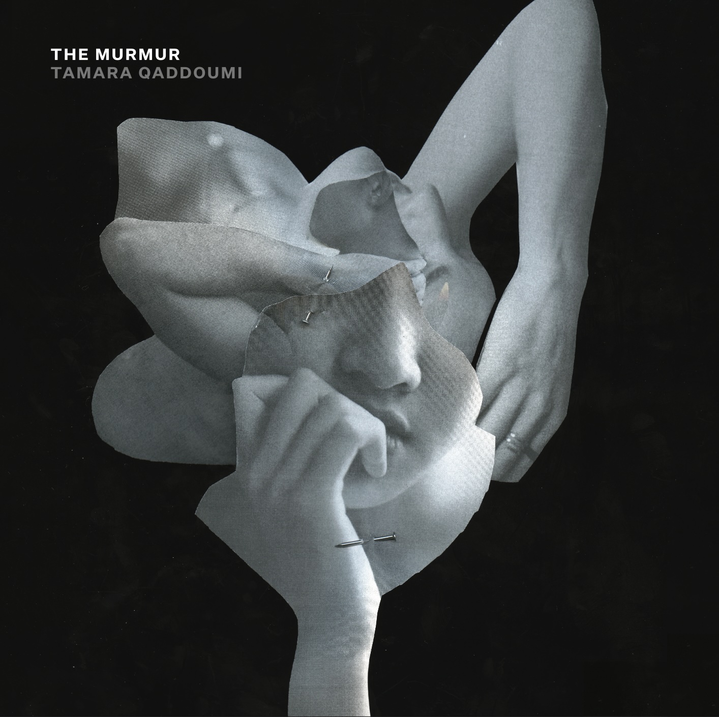 Tamara Qaddoumi: The Murmur (2025) Book Cover