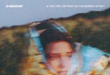 Shoreline: Is This The Low Point Or The Moment After (2026)